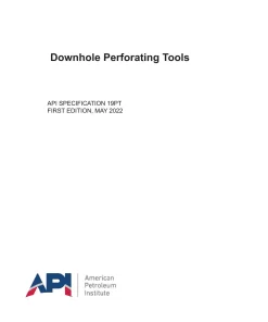 API SPEC 19PT pdf