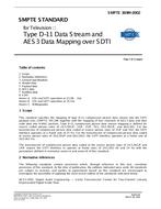 SMPTE 369M-2002 pdf