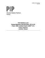 PIP PN03CS1J01 pdf