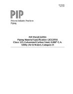 PIP PN12CG0T01 pdf