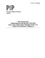 PIP PN12CS2T01 pdf