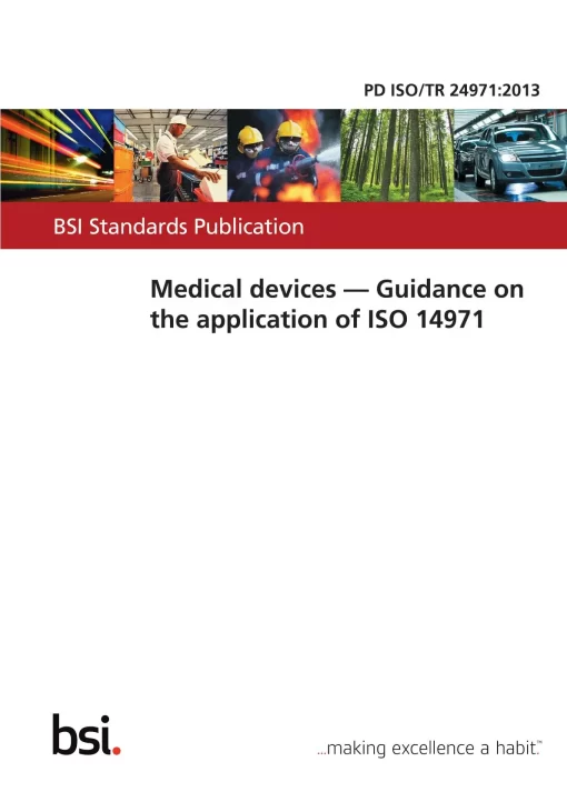 BS PD ISO/TR 24971:2013 pdf