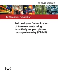 BS PD ISO/TS 16965:2013 pdf