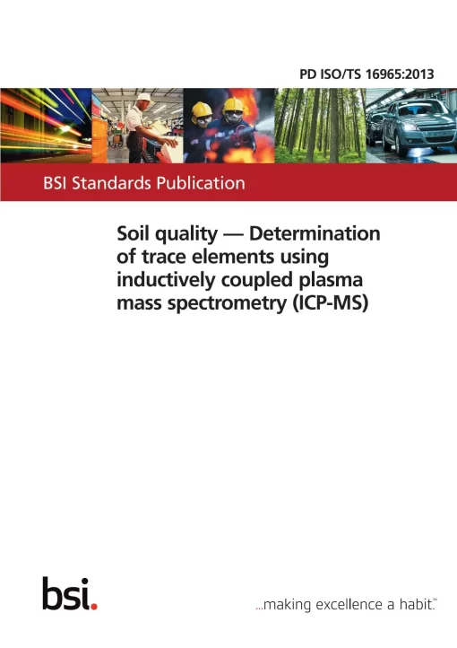 BS PD ISO/TS 16965:2013 pdf