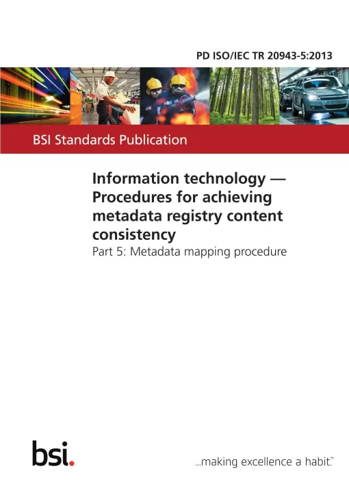 BS PD ISO/IEC TR 20943-5:2013 pdf