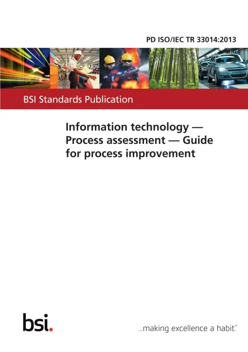 BS PD ISO/IEC TR 33014:2013 pdf