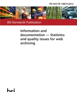 BS PD ISO/TR 14873:2013 pdf