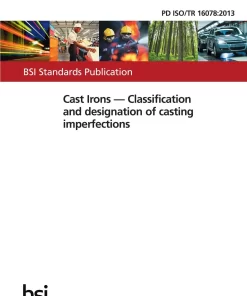 BS PD ISO/TR 16078:2013 pdf