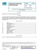 SAE AMS2980B pdf