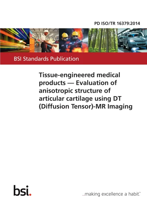 BS PD ISO/TR 16379:2014 pdf