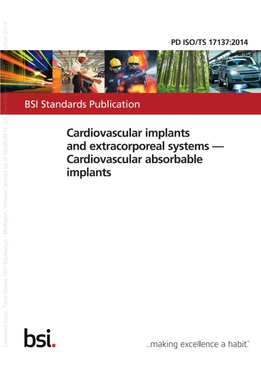 BS PD ISO/TS 17137:2014 pdf