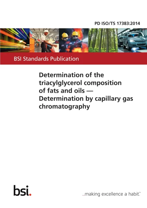 BS PD ISO/TS 17383:2014 pdf