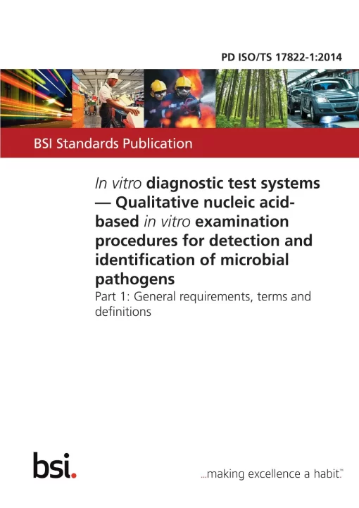 BS PD ISO/TS 17822-1:2014 pdf