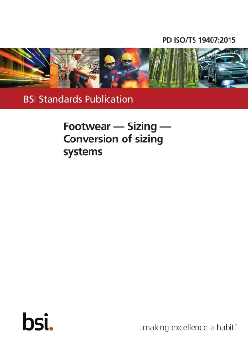 BS PD ISO/TS 19407:2015 pdf