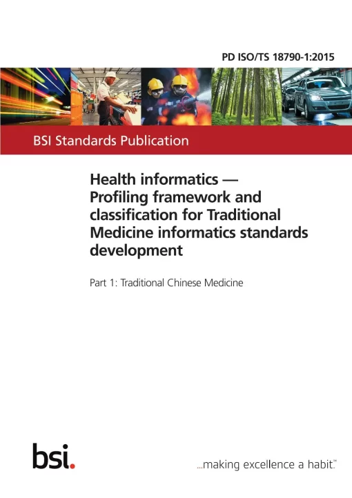 BS PD ISO/TS 18790-1:2015 pdf