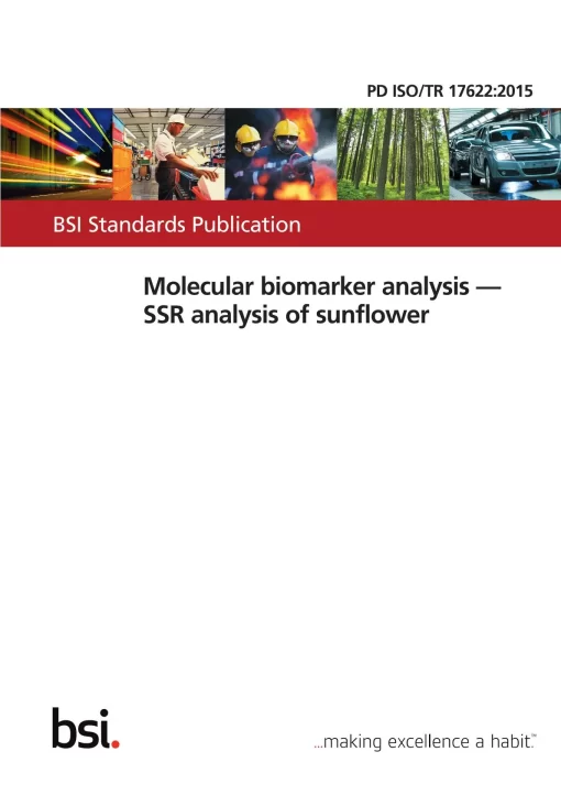 BS PD ISO/TR 17622:2015 pdf