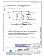 SAE AS17143B pdf