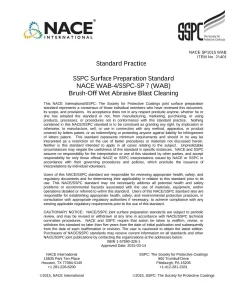 NACE SP1015-2015 pdf