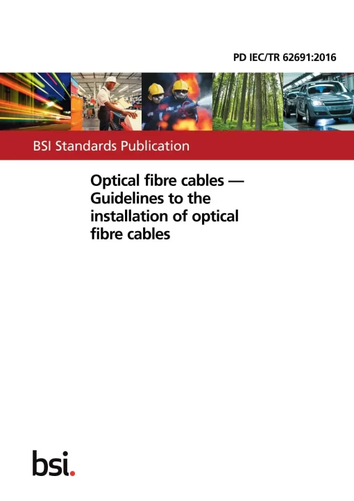 BS PD IEC/TR 62691:2016 pdf