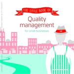 BS QUALITY MANAGEMENT FOR SMES pdf