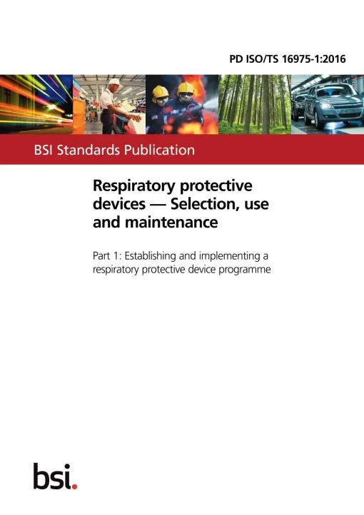 BS PD ISO/TS 16975-1:2016 pdf