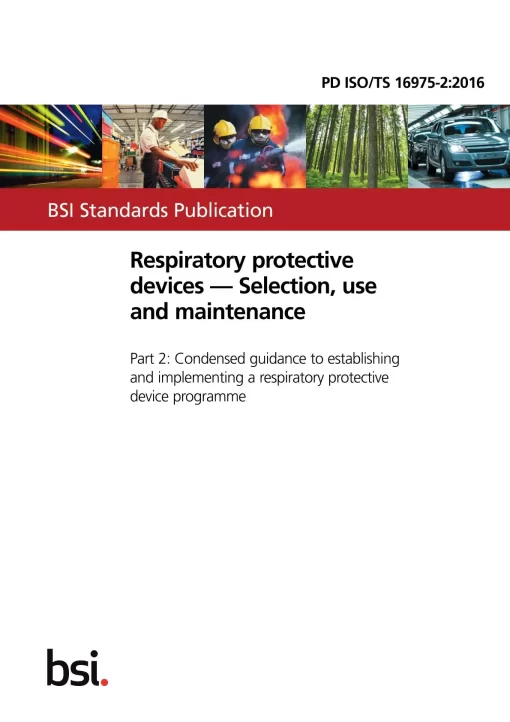 BS PD ISO/TS 16975-2:2016 pdf