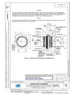 SAE AS34641A pdf