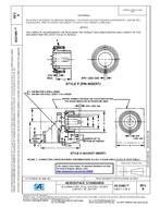 SAE AS31081B pdf