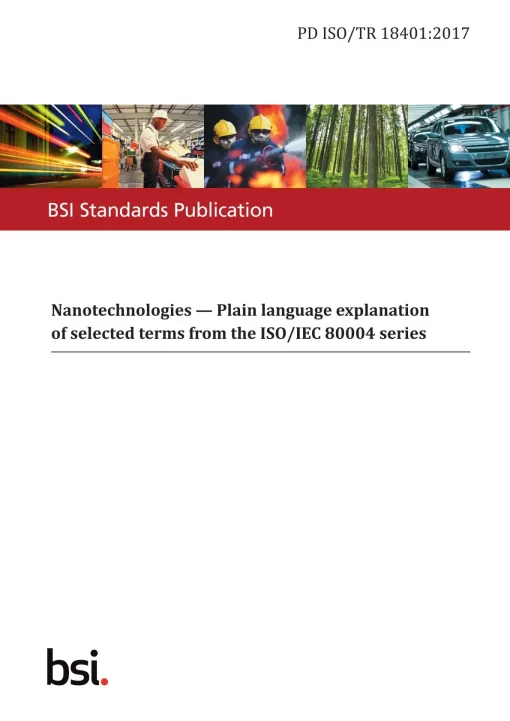 BS PD ISO/TR 18401:2017 pdf