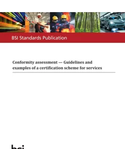 BS PD ISO/IEC TR 17028:2017 pdf