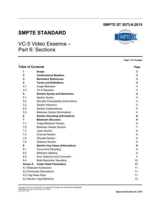 SMPTE ST 2073-6:2015 pdf