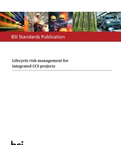 BS PD ISO/TR 27918:2018 pdf