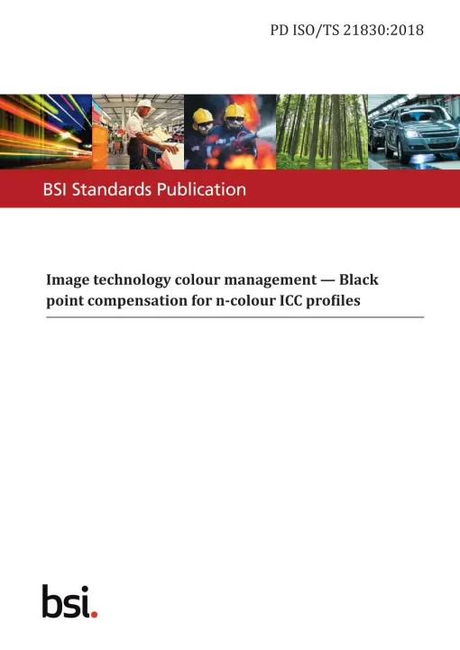 BS PD ISO/TS 21830:2018 pdf