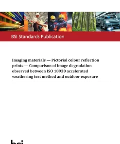 BS PD ISO/TR 18945:2018 pdf