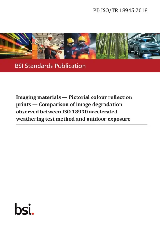 BS PD ISO/TR 18945:2018 pdf