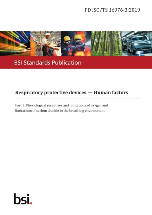 BS PD ISO/TS 16976-3:2019 pdf