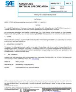 SAE AMSP81728C pdf