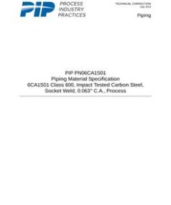 PIP PN06CA1S01 pdf