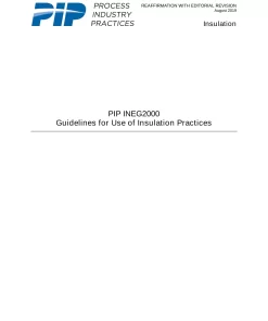 PIP INEG2000 pdf