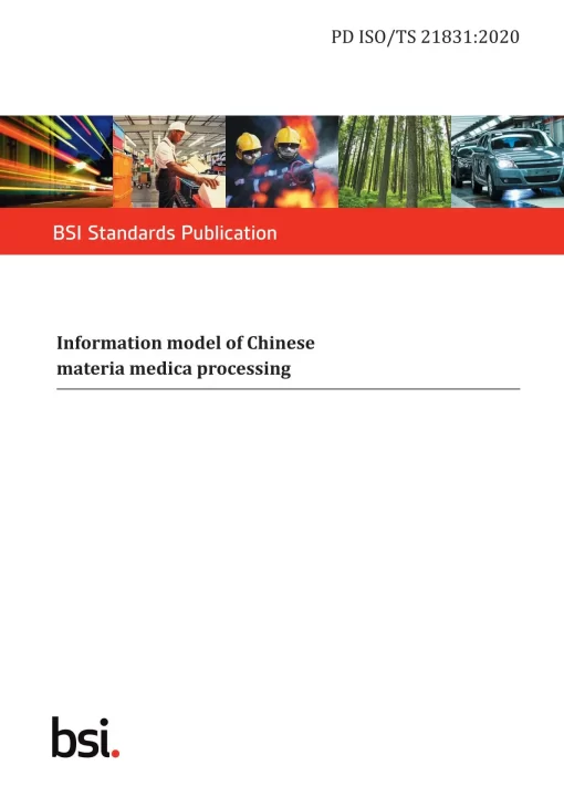 BS PD ISO/TS 21831:2020 pdf