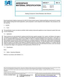 SAE AMS3381B pdf