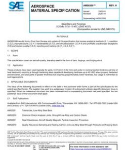 SAE AMS6300H pdf