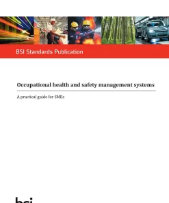 BS PD ISO 45001:2018 HANDBOOK pdf