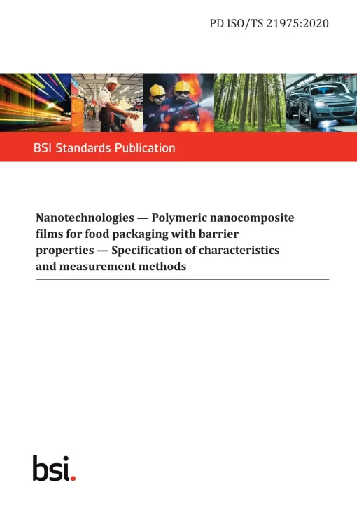 BS PD ISO/TS 21975:2020 pdf