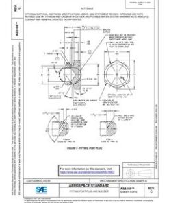 SAE AS5169C pdf