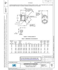 SAE AS5191A pdf