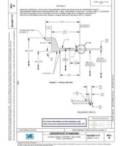 SAE AS1895/17B pdf