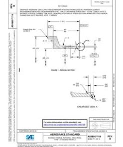 SAE AS1895/19B pdf