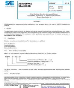 SAE AS29606B pdf