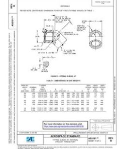 SAE AS5191B pdf